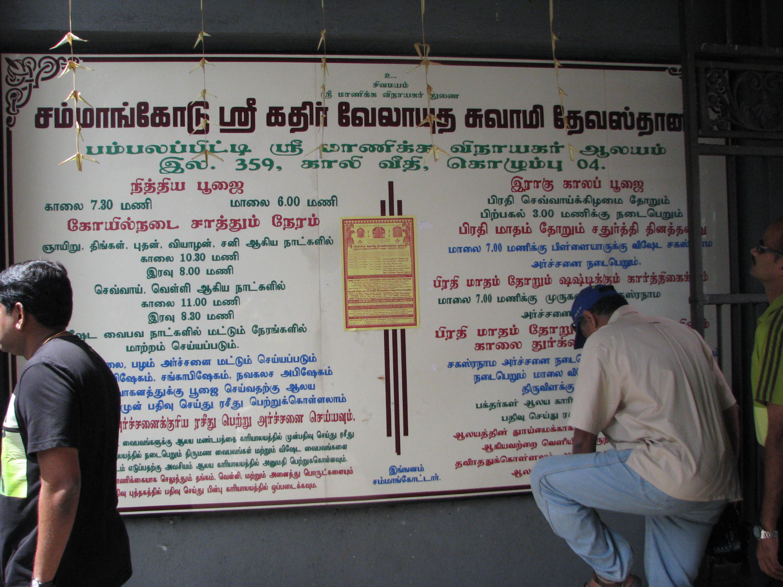 IMG 9503